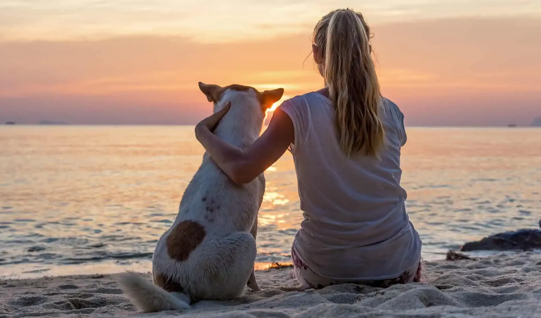 Pet Loss Dog at sunset