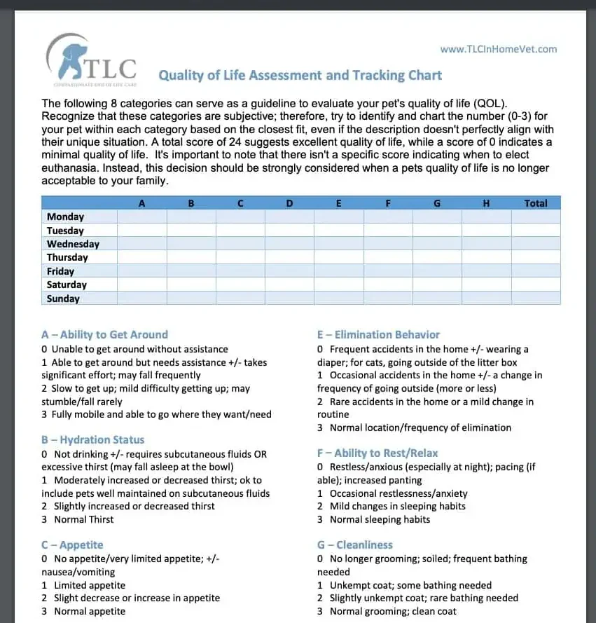 Quality of Life Assessment